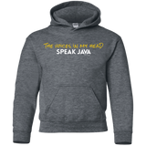 The Voices In My Head Speak Java Youth Hoodie