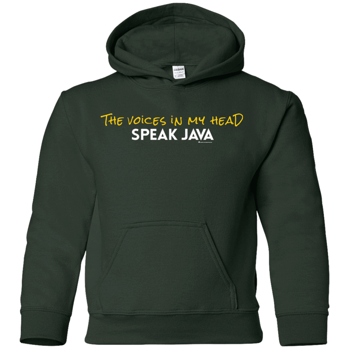 The Voices In My Head Speak Java Youth Hoodie