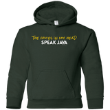 The Voices In My Head Speak Java Youth Hoodie