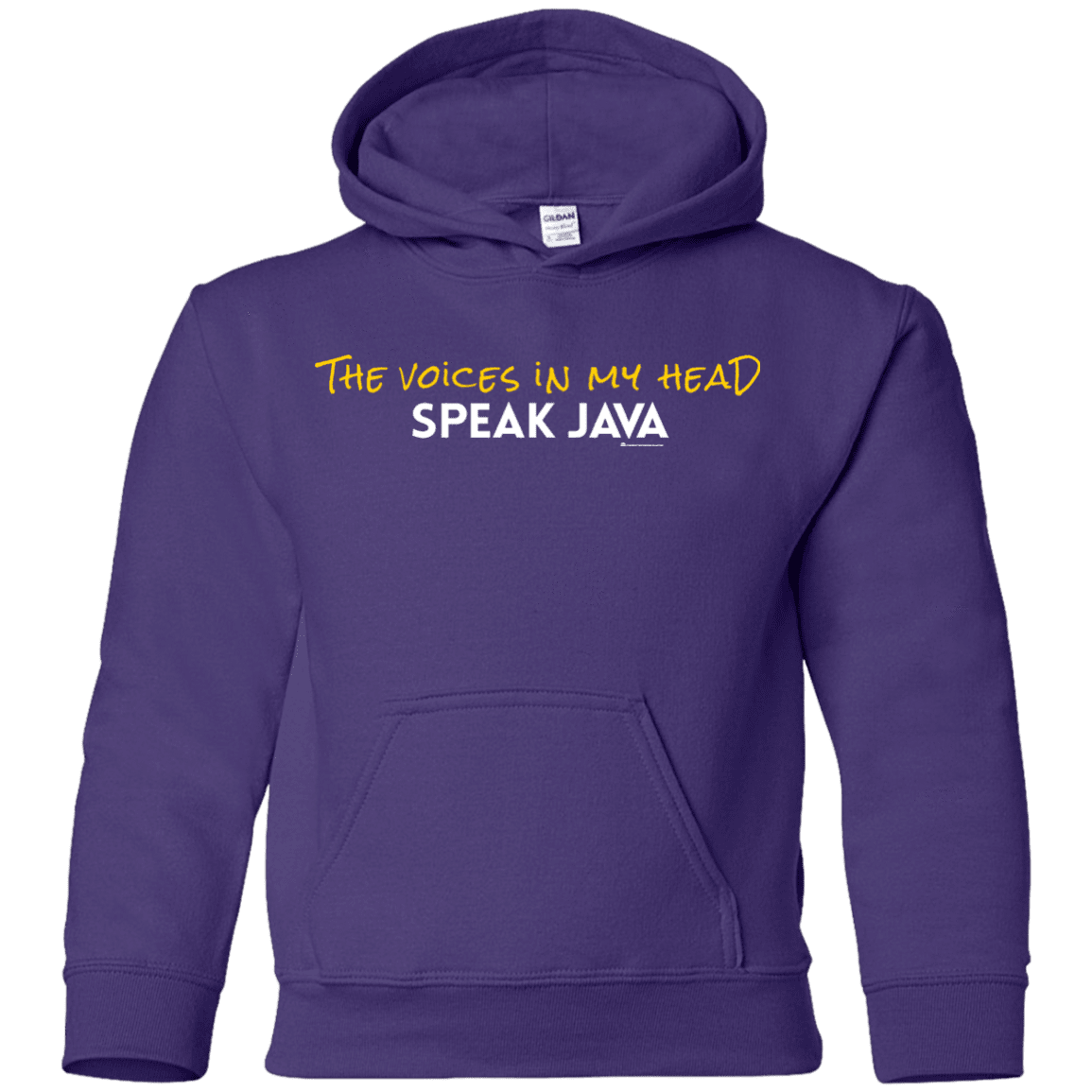 The Voices In My Head Speak Java Youth Hoodie