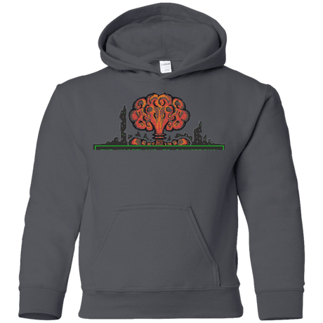 Sweatshirts Charcoal / YS The Wasteland is Dangerous Youth Hoodie