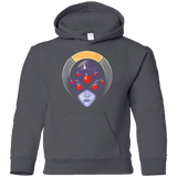 Sweatshirts Charcoal / YS The Widow Assassin Youth Hoodie