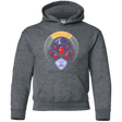 Sweatshirts Dark Heather / YS The Widow Assassin Youth Hoodie