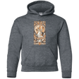 Sweatshirts Dark Heather / YS Theatre of science Youth Hoodie