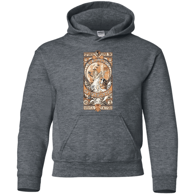 Sweatshirts Dark Heather / YS Theatre of science Youth Hoodie