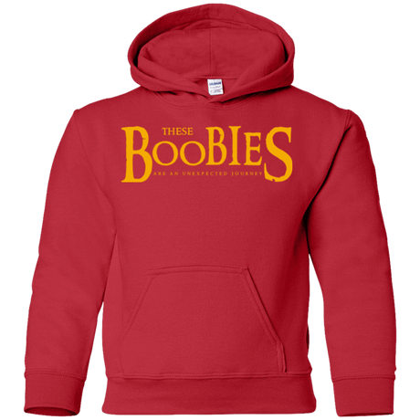 Sweatshirts Red / YS These boobies Youth Hoodie