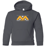 Sweatshirts Charcoal / YS They Mostly Come At Night Mostly Youth Hoodie