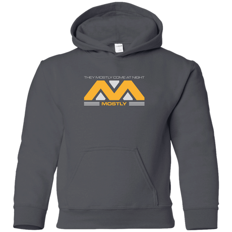 Sweatshirts Charcoal / YS They Mostly Come At Night Mostly Youth Hoodie