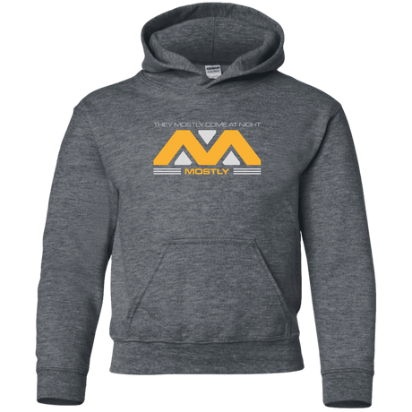 Sweatshirts Dark Heather / YS They Mostly Come At Night Mostly Youth Hoodie
