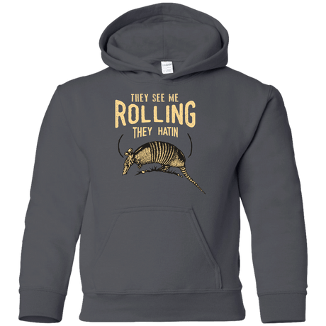 Sweatshirts Charcoal / YS They See Me Rollin Youth Hoodie