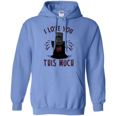 Sweatshirts Carolina Blue / Small This much Pullover Hoodie