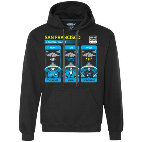 Sweatshirts Black / Small Three Storms Premium Fleece Hoodie