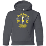 Sweatshirts Charcoal / YS Tiger Ranger Youth Hoodie