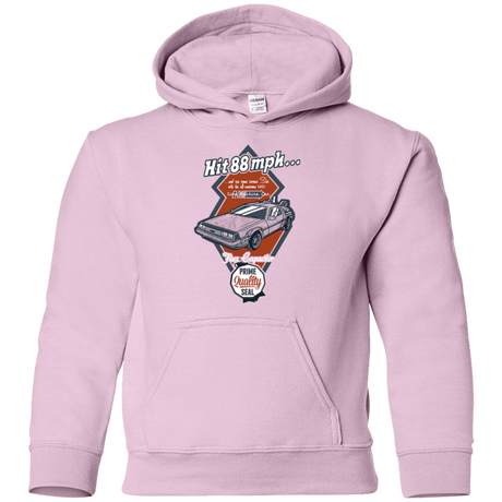 Sweatshirts Light Pink / YS Time Machine Car Youth Hoodie