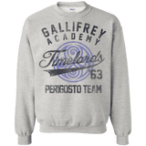 Sweatshirts Ash / Small Timelords Academy Crewneck Sweatshirt