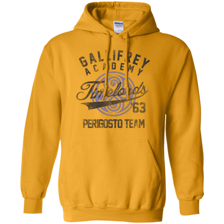 Sweatshirts Gold / Small Timelords Academy Pullover Hoodie