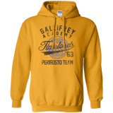 Sweatshirts Gold / Small Timelords Academy Pullover Hoodie