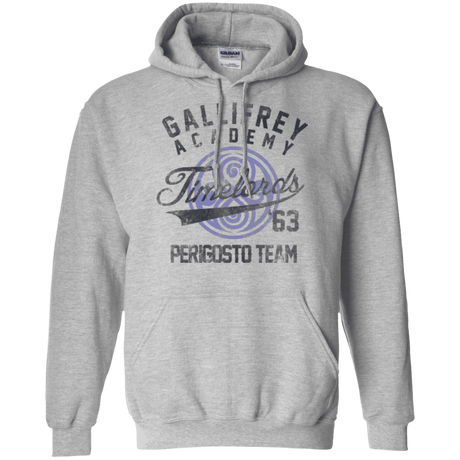 Sweatshirts Sport Grey / Small Timelords Academy Pullover Hoodie