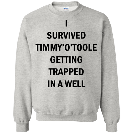 Sweatshirts Ash / Small Timmy Otoole Crewneck Sweatshirt