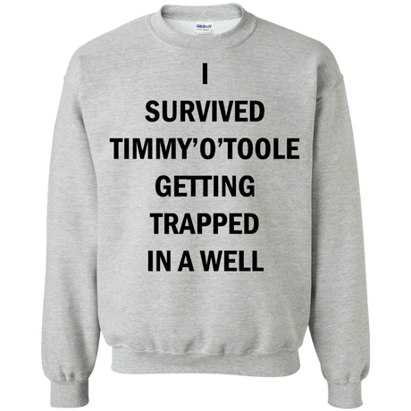 Sweatshirts Sport Grey / Small Timmy Otoole Crewneck Sweatshirt