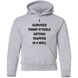 Sweatshirts Sport Grey / YS Timmy Otoole Youth Hoodie