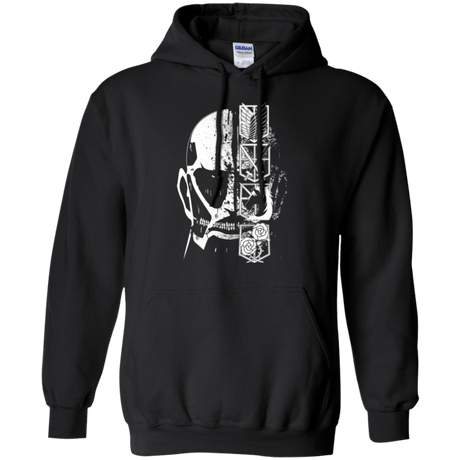 Sweatshirts Black / Small Titan Black Pullover Hoodie