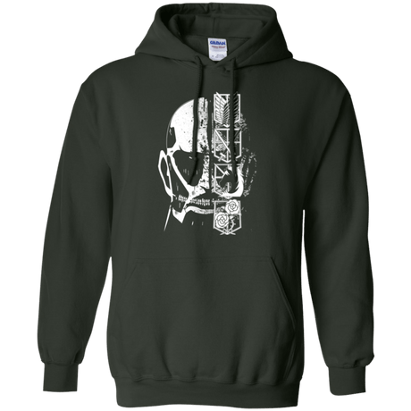 Sweatshirts Forest Green / Small Titan Black Pullover Hoodie