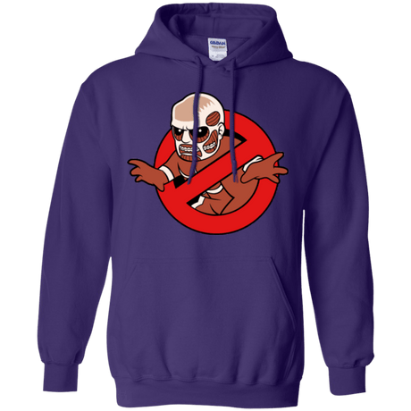 Sweatshirts Purple / Small Titan Busters Pullover Hoodie