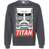 Sweatshirts Dark Heather / Small Titan Crewneck Sweatshirt