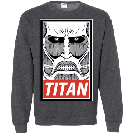 Sweatshirts Dark Heather / Small Titan Crewneck Sweatshirt