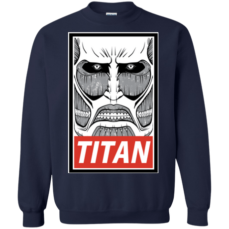 Sweatshirts Navy / Small Titan Crewneck Sweatshirt