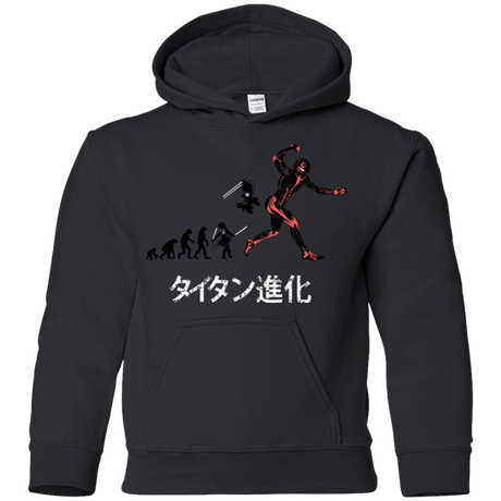 Sweatshirts Black / YS Titan Evolution Youth Hoodie