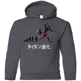 Sweatshirts Charcoal / YS Titan Evolution Youth Hoodie