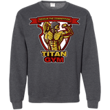 Sweatshirts Dark Heather / S Titan Gym Crewneck Sweatshirt