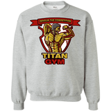 Sweatshirts Sport Grey / S Titan Gym Crewneck Sweatshirt