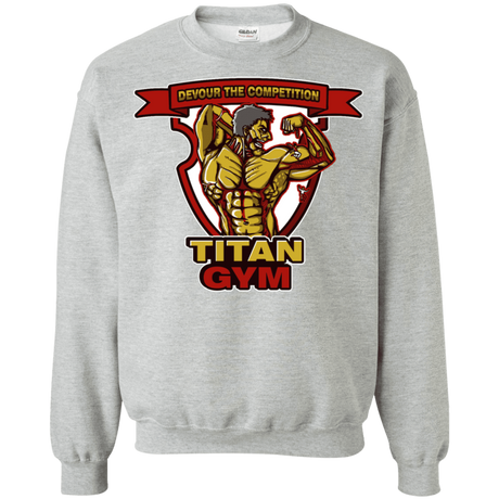 Sweatshirts Sport Grey / S Titan Gym Crewneck Sweatshirt