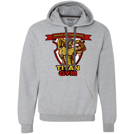 Sweatshirts Sport Grey / S Titan Gym Premium Fleece Hoodie