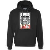 Sweatshirts Black / Small Titan Premium Fleece Hoodie