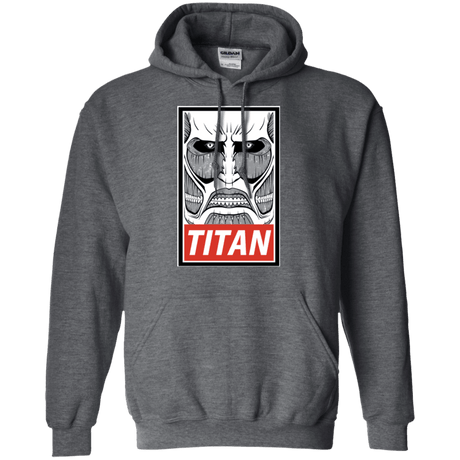 Sweatshirts Dark Heather / Small Titan Pullover Hoodie