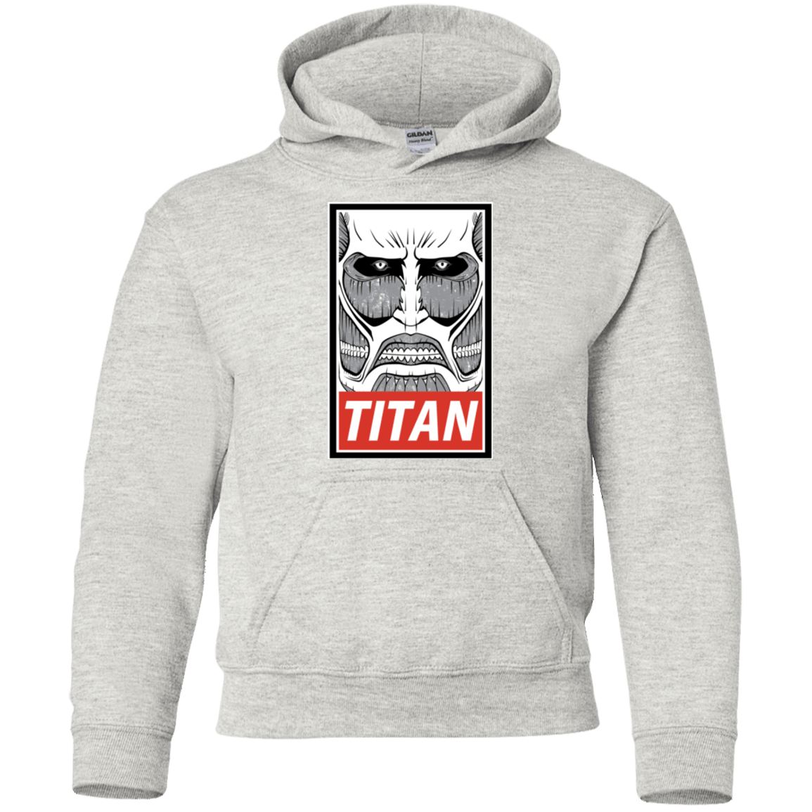 Sweatshirts Ash / YS Titan Youth Hoodie
