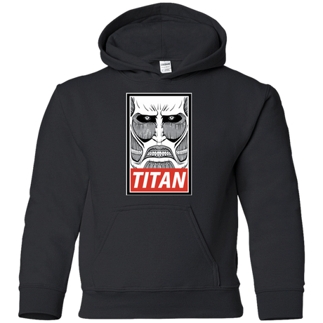 Sweatshirts Black / YS Titan Youth Hoodie