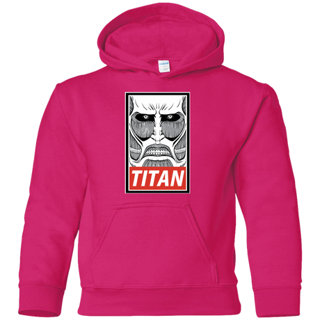 Sweatshirts Heliconia / YS Titan Youth Hoodie