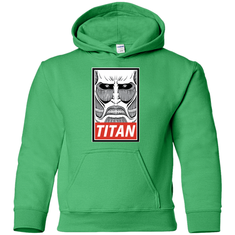 Sweatshirts Irish Green / YS Titan Youth Hoodie