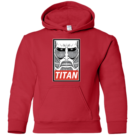 Sweatshirts Red / YS Titan Youth Hoodie
