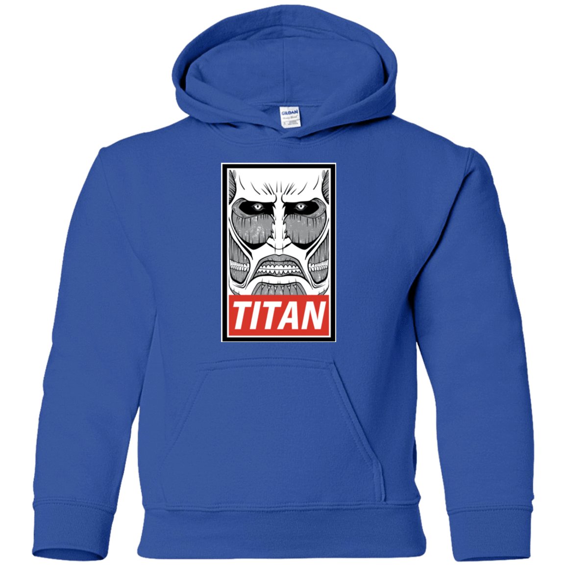 Sweatshirts Royal / YS Titan Youth Hoodie
