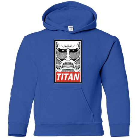 Sweatshirts Royal / YS Titan Youth Hoodie