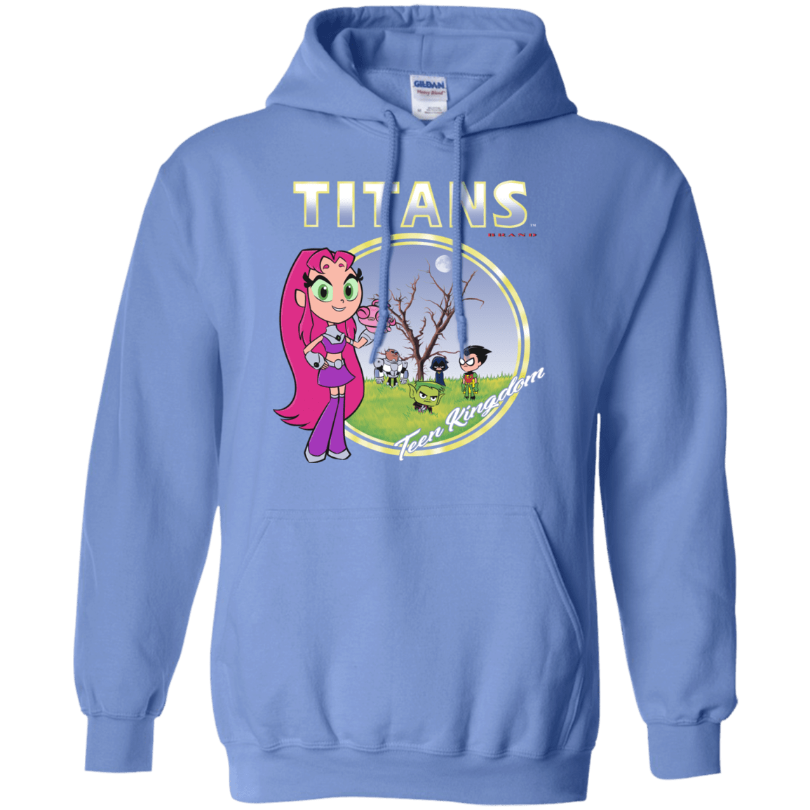 Sweatshirts Carolina Blue / S Titans Pullover Hoodie