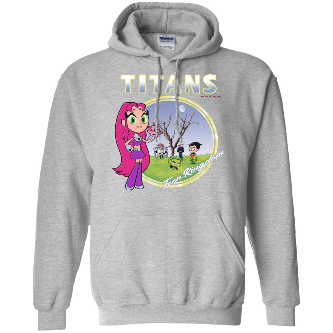 Sweatshirts Sport Grey / S Titans Pullover Hoodie