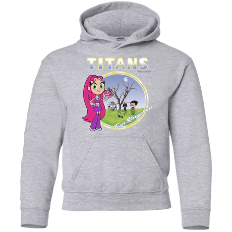 Sweatshirts Sport Grey / YS Titans Youth Hoodie