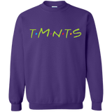 Sweatshirts Purple / S TMNTS Crewneck Sweatshirt